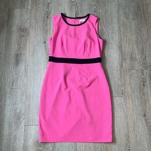 Calvin Klein Fuchsia and Black Mini Dress